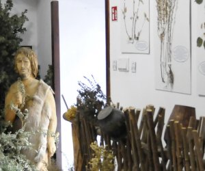 Oficyna – ekspozycja „Tradycje zielarskie” Oficyna – ekspozycja „Tradycje zielarskie”