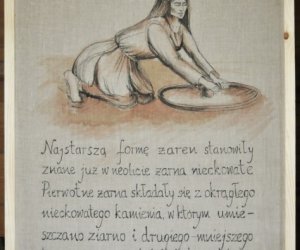 Inwentaryzacja w Skansenie Inwentaryzacja w Skansenie