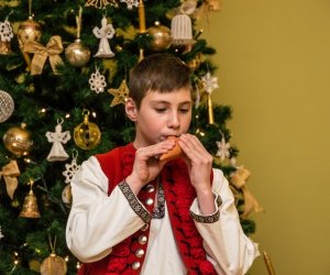 Galeria z 5 grudnia 2015 Galeria z 5 grudnia 2015