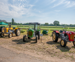 "Piknik Poznaj Dobrą Żywność" - Służewiec - 26 maja 2024 r. - fotorelacja