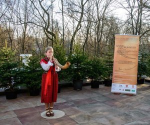 Galeria z 5 grudnia 2015 Galeria z 5 grudnia 2015