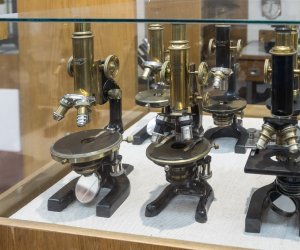 Muzeum Weterynarii Muzeum Weterynarii