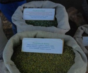 JARMARK ŚWIĘTEGO WOJCIECHA W MUZEUM ROLNICTWA W CIECHANOWCU JARMARK ŚWIĘTEGO WOJCIECHA W MUZEUM ROLNICTWA W CIECHANOWCU