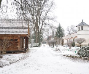 DZIAŁ TRADYCJI ZIELARSKICH DZIAŁ TRADYCJI ZIELARSKICH