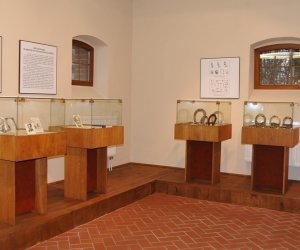 Odnowiona ekspozycja Muzeum Weterynarii Odnowiona ekspozycja Muzeum Weterynarii