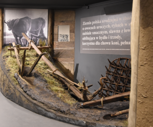 DZIAŁ HISTORII UPRAWY ROŚLIN I HODOWLI ZWIERZĄT DZIAŁ HISTORII UPRAWY ROŚLIN I HODOWLI ZWIERZĄT