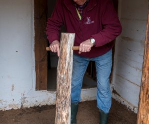 Jarmark św. Wojciecha 2022 - fotorelacja Jarmark św. Wojciecha 2022 - fotorelacja