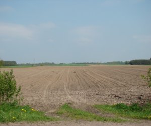 Zwyczaj święcenia pól – dawniej i dzisiaj… Zwyczaj święcenia pól – dawniej i dzisiaj…