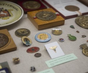 Muzeum Weterynarii Muzeum Weterynarii