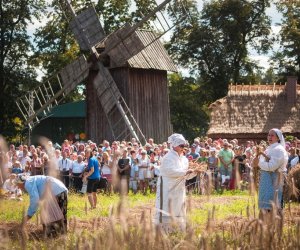 XVIII Podlaskie Święto Chleba - fotorelacja XVIII Podlaskie Święto Chleba - fotorelacja