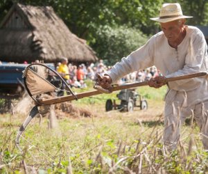 XVIII Podlaskie Święto Chleba - fotorelacja XVIII Podlaskie Święto Chleba - fotorelacja