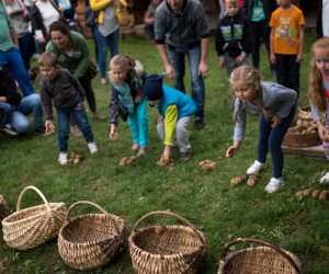 Impreza plenerowa - Jesień w Polu i Zagrodzie Impreza plenerowa - Jesień w Polu i Zagrodzie