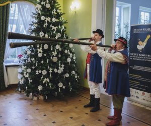 Ligawki 2018 Ligawki 2018