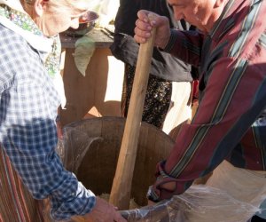 JESIEŃ W POLU I ZAGRODZIE w ramach Europejskich Dni Dziedzictwa 18 września 2016 r. JESIEŃ W POLU I ZAGRODZIE w ramach Europejskich Dni Dziedzictwa 18 września 2016 r.