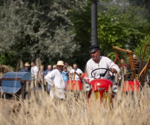XXIII Podlaskie Święto Chleba - fotorelacja XXIII Podlaskie Święto Chleba - fotorelacja