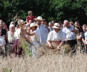 IX Podlaskie Święto Chleba IX Podlaskie Święto Chleba