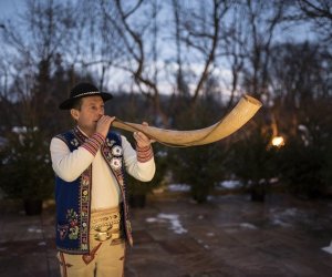 LIGAWKI 2016 - Fotorelacja z konkursu LIGAWKI 2016 - Fotorelacja z konkursu