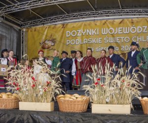 XX Podlaskie Święto Chleba - fotorelacja XX Podlaskie Święto Chleba - fotorelacja