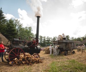 XIX Podlaskie Święto Chleba - fotorelacja XIX Podlaskie Święto Chleba - fotorelacja