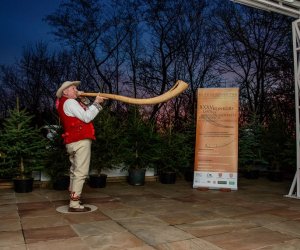 Galeria z 5 grudnia 2015 Galeria z 5 grudnia 2015