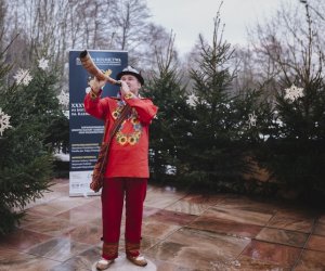 Ligawki 2018 Ligawki 2018