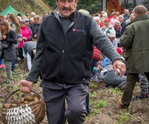 Jesień w Polu i Zagrodzie 2018 - fotorelacja