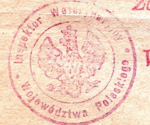 Historia na książkach zapisana