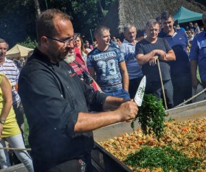 XVIII Podlaskie Święto Chleba - fotorelacja XVIII Podlaskie Święto Chleba - fotorelacja