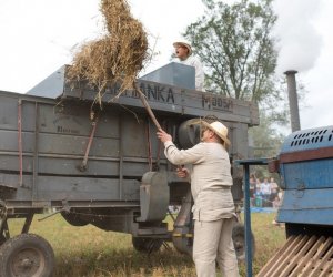 XVII Podlaskie Święto Chleba - fotorelacja XVII Podlaskie Święto Chleba - fotorelacja