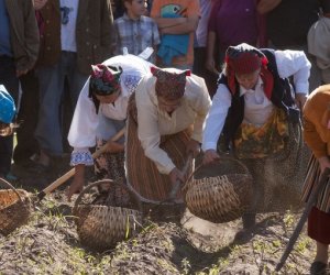 JESIEŃ W POLU I ZAGRODZIE w ramach Europejskich Dni Dziedzictwa 18 września 2016 r. JESIEŃ W POLU I ZAGRODZIE w ramach Europejskich Dni Dziedzictwa 18 września 2016 r.