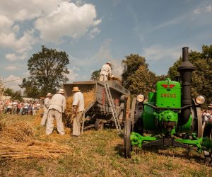 Święto Chleba po raz trzynasty Święto Chleba po raz trzynasty