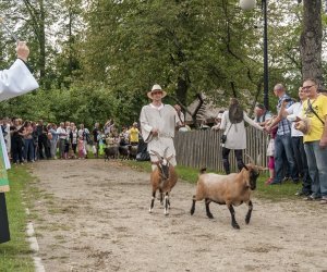 XVI Podlaskie Święto Chleba XVI Podlaskie Święto Chleba