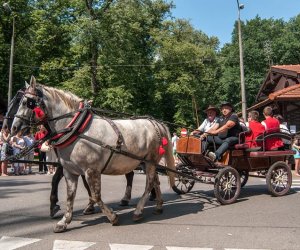 XIV Podlaskie Święto Chleba XIV Podlaskie Święto Chleba