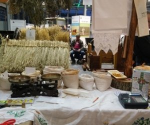 Narodowa Wystawa Rolnicza w Poznaniu Narodowa Wystawa Rolnicza w Poznaniu