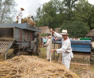 XVII Podlaskie Święto Chleba - fotorelacja XVII Podlaskie Święto Chleba - fotorelacja