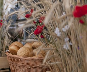 XX Podlaskie Święto Chleba - fotorelacja XX Podlaskie Święto Chleba - fotorelacja