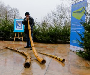 Galeria z 6 grudnia 2014