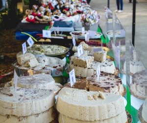 XIX Podlaskie Święto Chleba - fotorelacja XIX Podlaskie Święto Chleba - fotorelacja