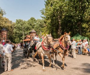 Święto Chleba po raz trzynasty Święto Chleba po raz trzynasty