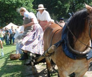 IX Podlaskie Święto Chleba IX Podlaskie Święto Chleba