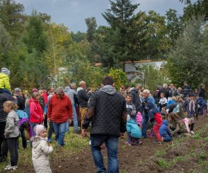 Jesień w Polu i Zagrodzie 2018 - fotorelacja Jesień w Polu i Zagrodzie 2018 - fotorelacja