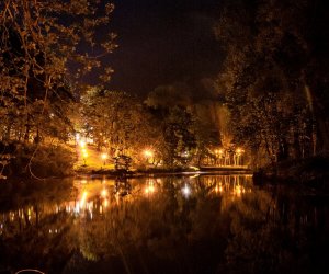 Noc Muzeów Noc Muzeów