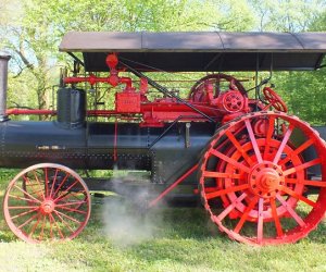 Unikatowe eksponaty w ciechanowieckim Muzeum