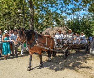 XV Podlaskie Święta Chleba w Muzeum Rolnictwa im. ks. Krzysztofa Kluka w Ciechanowcu XV Podlaskie Święta Chleba w Muzeum Rolnictwa im. ks. Krzysztofa Kluka w Ciechanowcu
