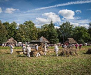 XVIII Podlaskie Święto Chleba - fotorelacja XVIII Podlaskie Święto Chleba - fotorelacja
