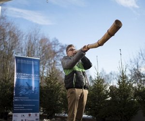 LIGAWKI 2016 - Fotorelacja z konkursu LIGAWKI 2016 - Fotorelacja z konkursu