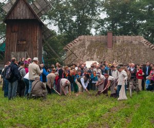JESIEŃ W POLU I ZAGRODZIE JESIEŃ W POLU I ZAGRODZIE