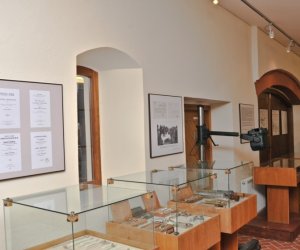 Odnowiona ekspozycja Muzeum Weterynarii Odnowiona ekspozycja Muzeum Weterynarii