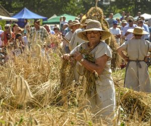 XV Podlaskie Święta Chleba w Muzeum Rolnictwa im. ks. Krzysztofa Kluka w Ciechanowcu XV Podlaskie Święta Chleba w Muzeum Rolnictwa im. ks. Krzysztofa Kluka w Ciechanowcu