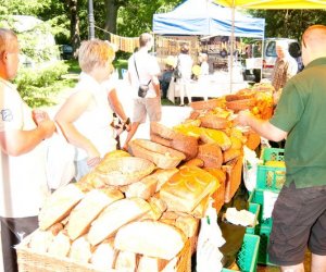 VI Zajazd Wysokomazowiecki VI Zajazd Wysokomazowiecki